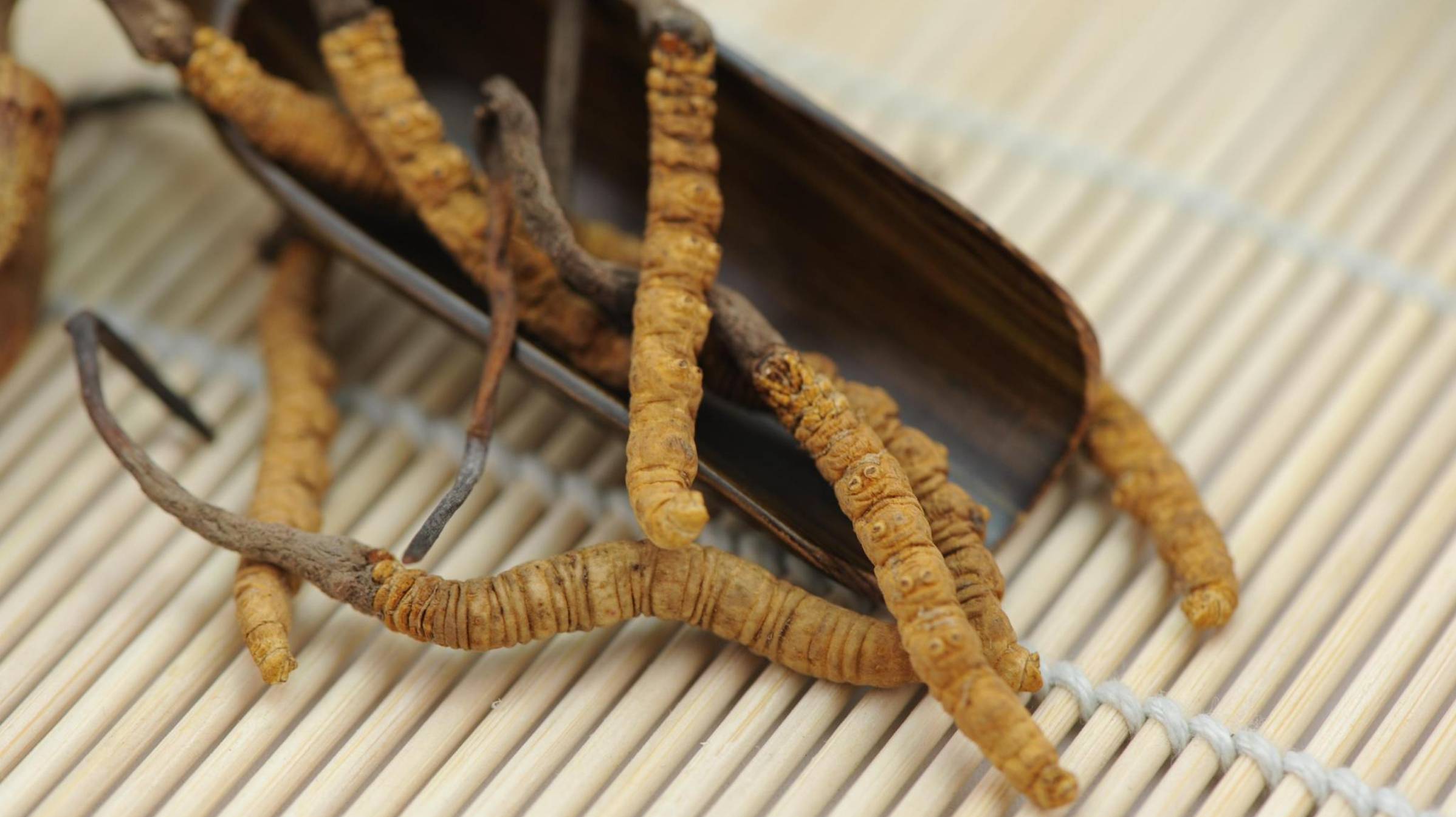 Кордицепс Китайский - Гриб императоров смотреть онлайн