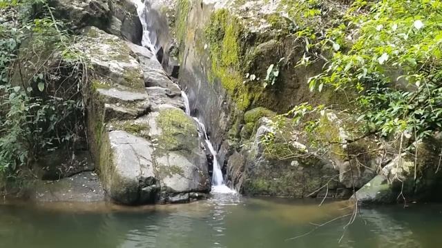 គ្មានអ្វីរារាំងសត្វលោកមិនឲ្យប្រសើរទេ | SAN SOCHEA OFFICIAL смотреть онлайн