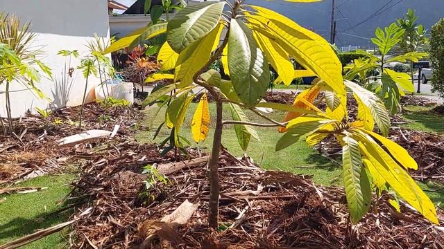 Lessons learned from last summer смотреть онлайн