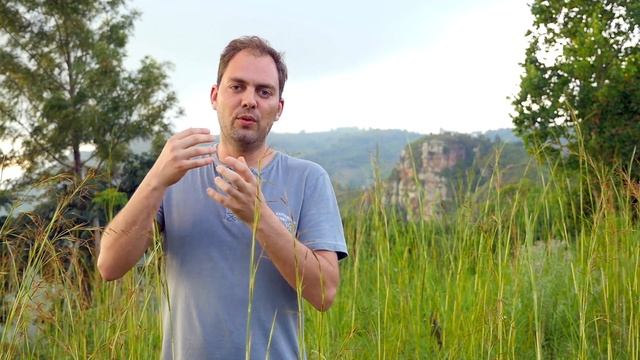 Plant trees as you browse with Ecosia and Vivaldi смотреть онлайн