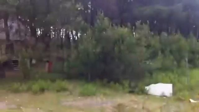 iliauni grigoleti смотреть онлайн