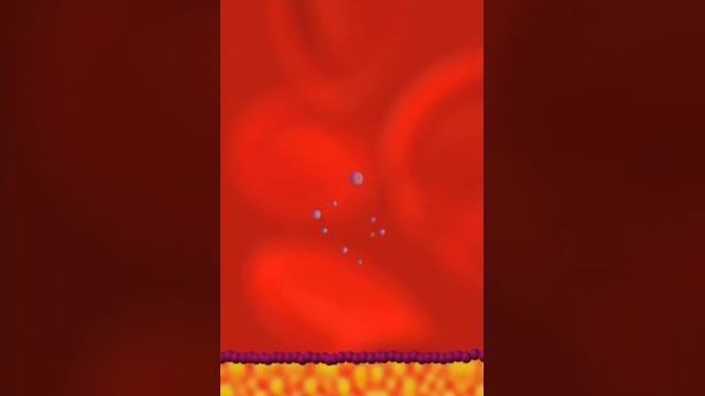 Talking Bacteria John, John & John (Original All Animations)