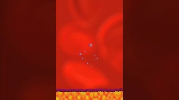 Talking Bacteria John, John & John (Original All Animations)