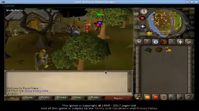 Oldschool Runescape on Android смотреть онлайн