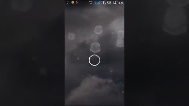 Whatsapp plus alexander camara смотреть онлайн