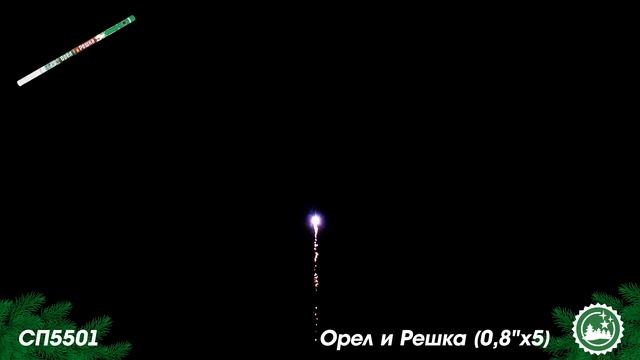 СП5501 смотреть онлайн