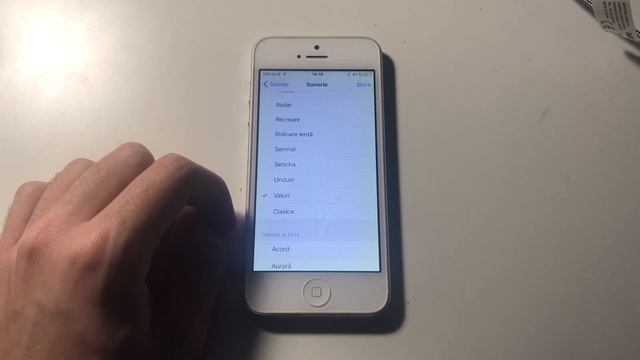 Apple iPhone 5 (2012) - Ringtone and Notification Sound смотреть онлайн