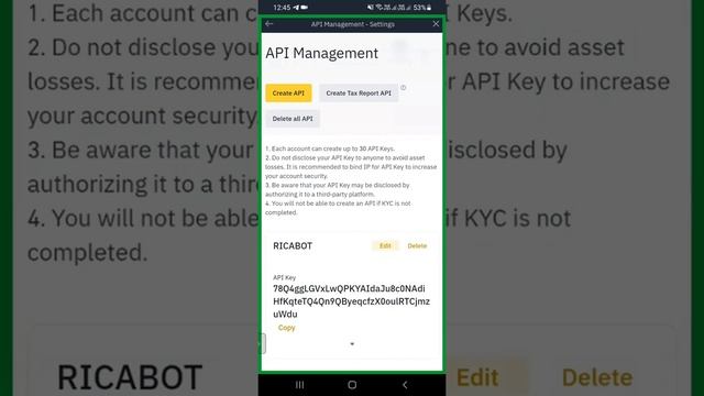 Ricabot API Rebinding After 90 Days смотреть онлайн