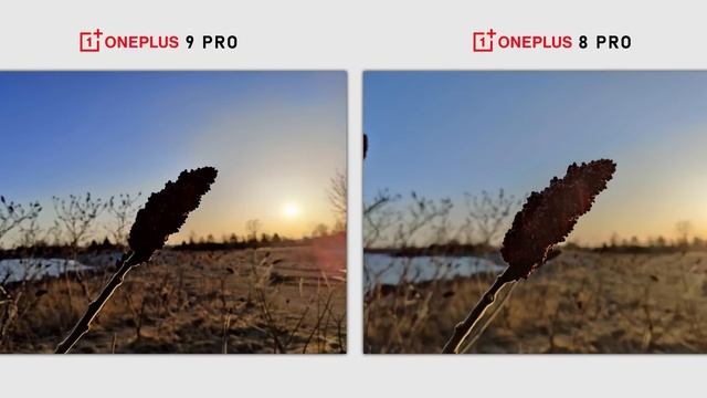 OnePlus 9 Pro - Only Slightly Better смотреть онлайн