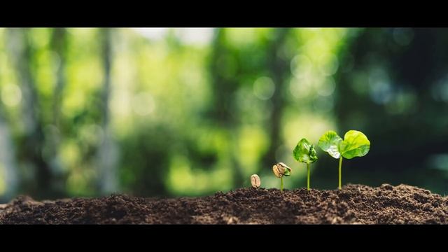 10 minute tranquility meditation for deep sleep rest and relaxation sound bath (2021) смотреть онлайн