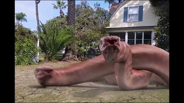 Alien Worms!! смотреть онлайн