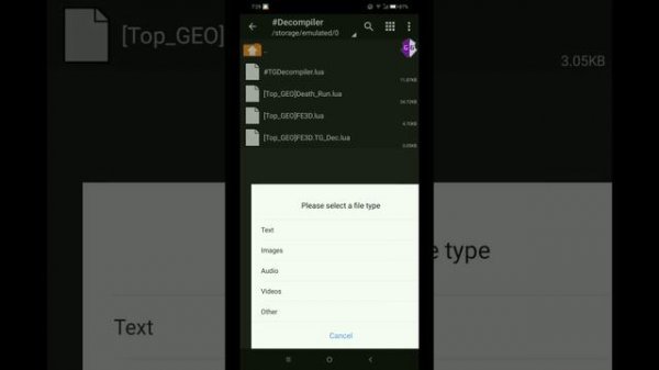 Decrypt Lua Script By GG (Remove Binary Chunk) | Script Decompiler