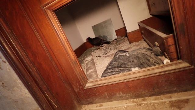 ABANDONED TITANIC OWNERS MANSION (ILLUMINATI CULT MANSION) смотреть онлайн