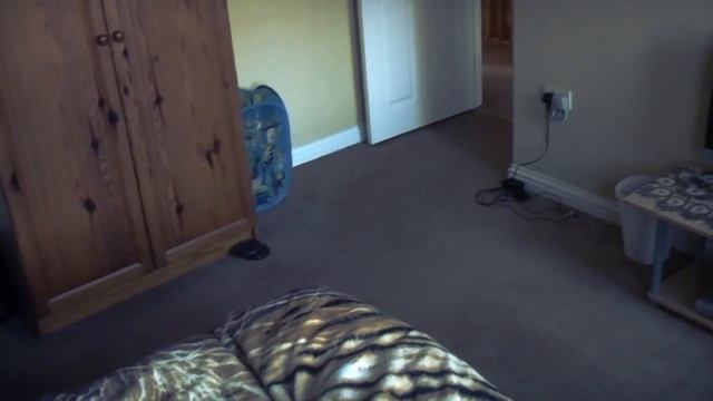 My Dog Sparky | Jump Clip смотреть онлайн