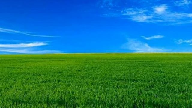 How to recover deleted media files смотреть онлайн