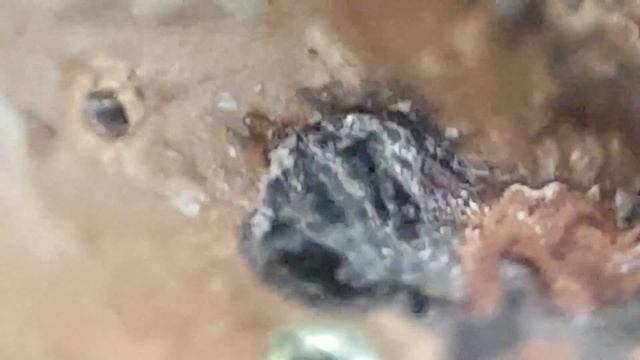 OHMA - 10 Yen VS Ohmasa Gas - Nurugo Microscope + S7 смотреть онлайн