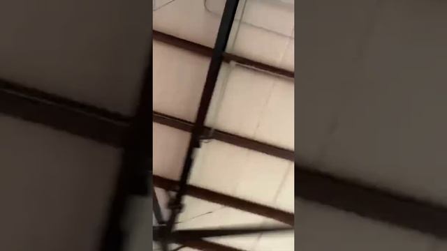 KENDRA LUST HOT INSTAGRAM VIDEO