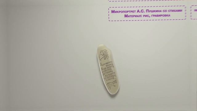 Интерактивная выставка "Микромиры" смотреть онлайн