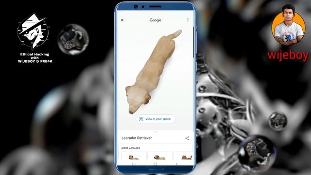 හැමෝම හොයන AR රහස් , AR Apps And Tricks 2021 (Google) | sinhala  Wijeboy смотреть онлайн