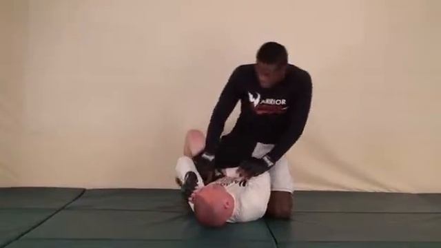 Volume 39 Mount Rear Mount and Turtle Control смотреть онлайн