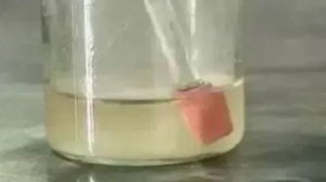 Органическая химия. Взаимодействие фенола с бромной водой