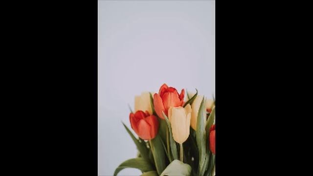 Skit; a must have apps manager for all Android users. смотреть онлайн