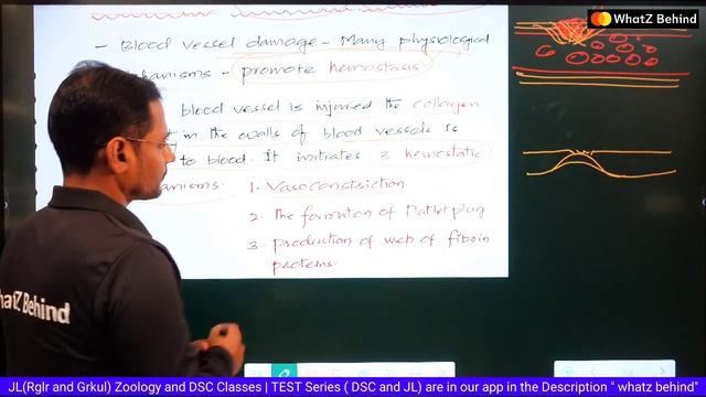 what is Hemostasis ||HDN|Erythroblastosis fetalis||Best JL Zoology online classes|Gurukula смотреть онлайн