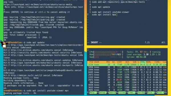 How to install youtube-viewer in Ubuntu
