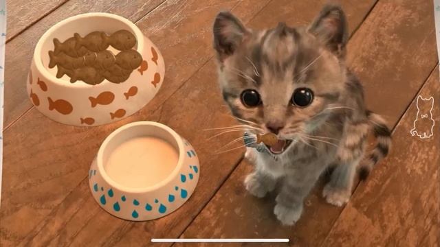 Little Kitten Adventure - Learn with a cute virtual cat Cutest Cat Best App for Kids смотреть онлайн