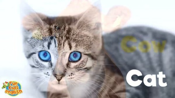 Animals Song for Kids