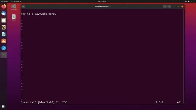 SECURE & Protect your Files Easily with VIM смотреть онлайн