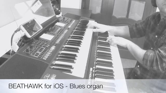Beathawk for iOS - B3 organ pack - Funky Blues смотреть онлайн