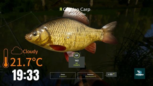Russian Fishing 4 TENCH SPOTS Seversky Donets River смотреть онлайн