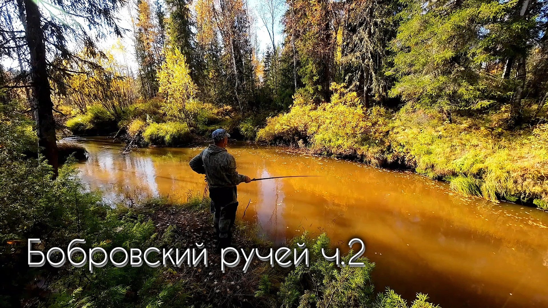 В ЭТОМ РУЧЬЕ ПОЛНО РЫБЫ #чебак #мохтик #ручей #рыбалка #сибирь смотреть онлайн