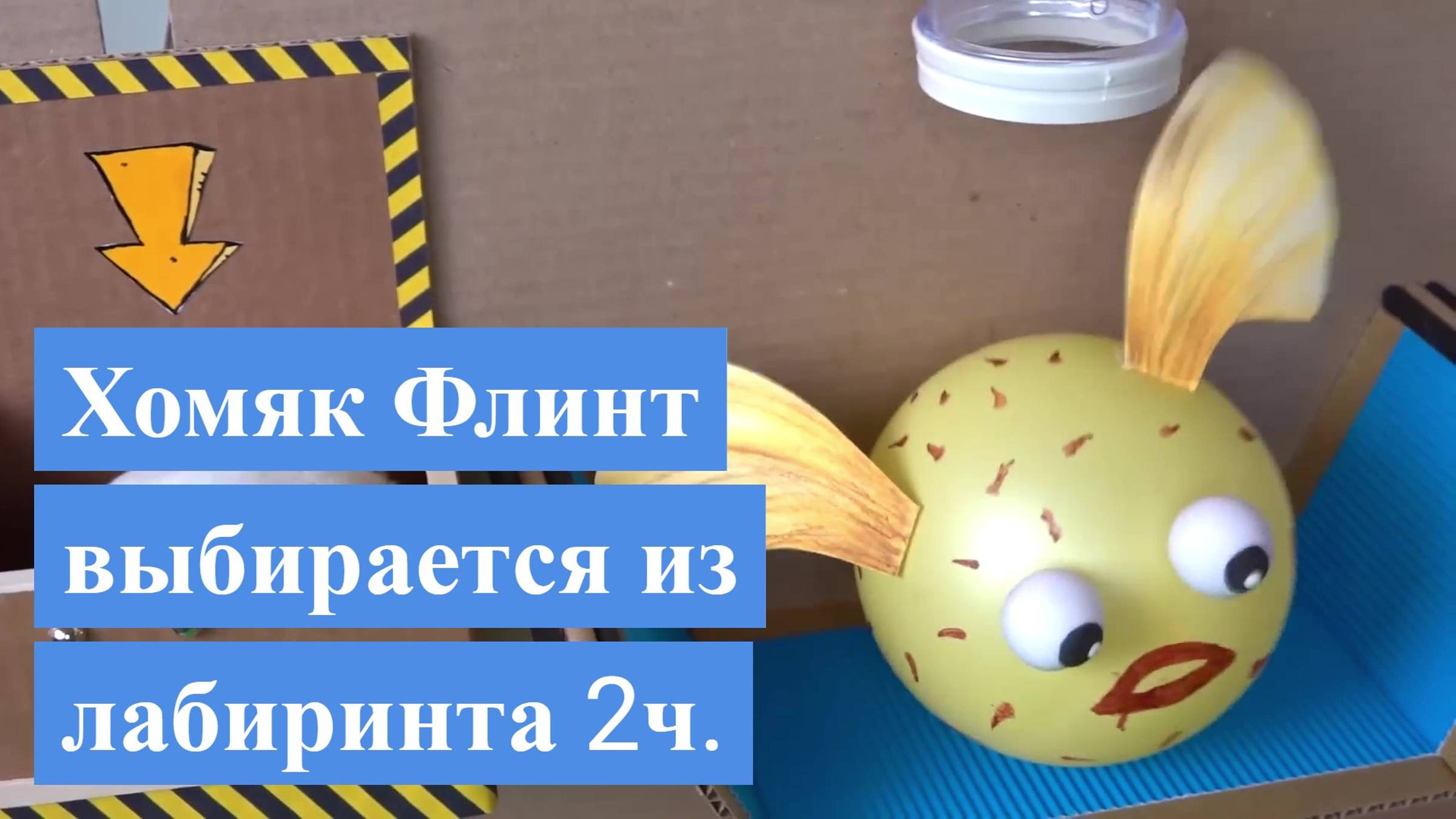 Хомяк Флинт выбирается из лабиринта 2ч.