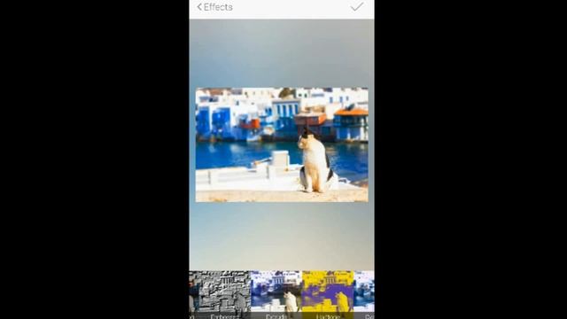 Check Out the Redesigned Fotor for Android 2.0 смотреть онлайн
