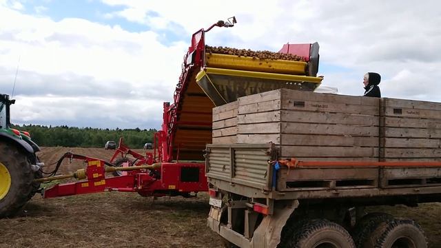 DokaGene Деликатная уборка семян высоких репродукций. смотреть онлайн