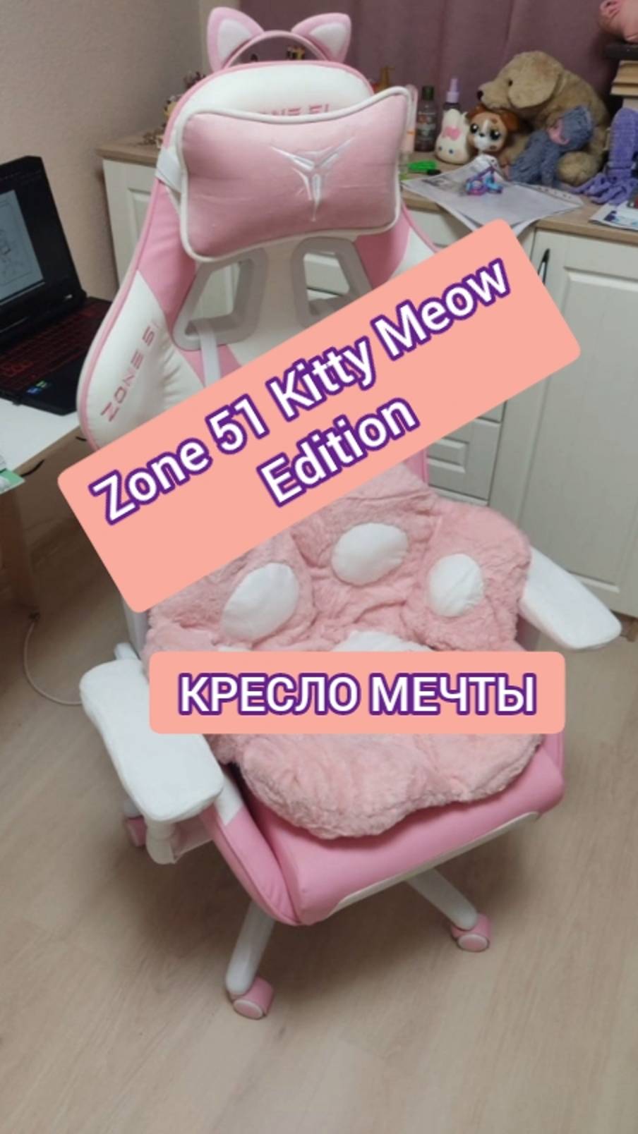 Супер кресло - Zone 51 Kitty Meow Edition - обзор! смотреть онлайн