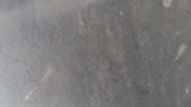 27082011011.MP4 смотреть онлайн