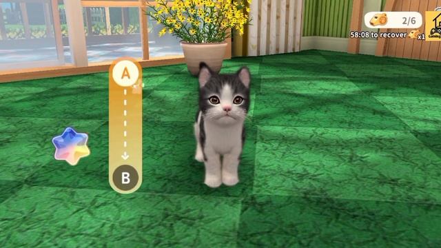 My Cat Gameplay (Walkthrough) | Best Pet Simulator Game | Gaming Housing смотреть онлайн