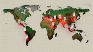 03-ВЕРСАДОКО-Кто генетически улучшил пшеницу 12000 лет назад?