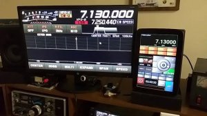 CAT Control Yaesu FTDX10