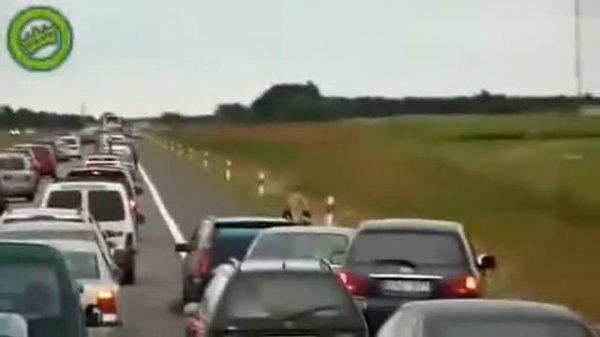 Russian road rage!