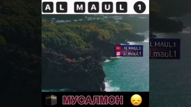 Хочи Мирзо инсони мусалмон 12 июня 2020 г. смотреть онлайн