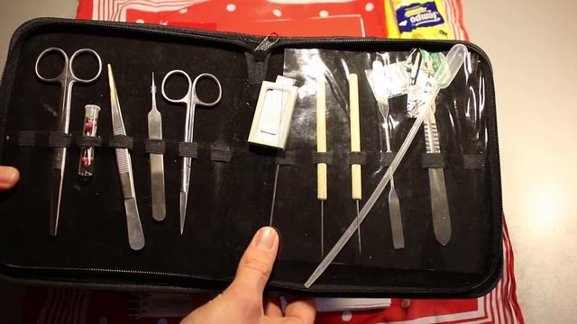 College Student EDC Backpack смотреть онлайн
