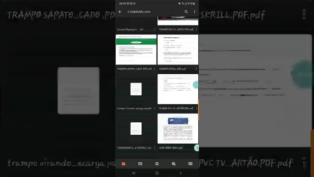 importsc смотреть онлайн