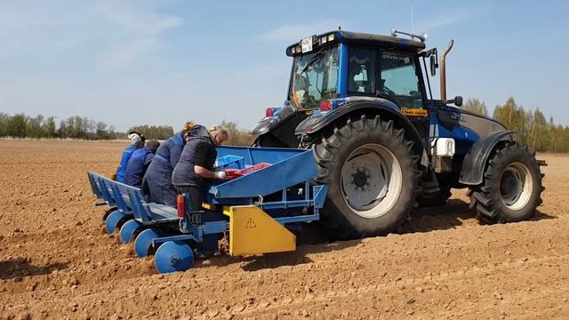 Высадка миниклубней 2019 смотреть онлайн