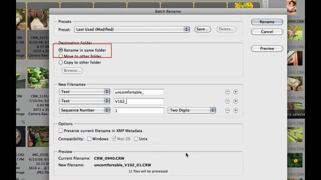 Beginner: Batch Rename | Adobe Bridge | Eric Lindley смотреть онлайн