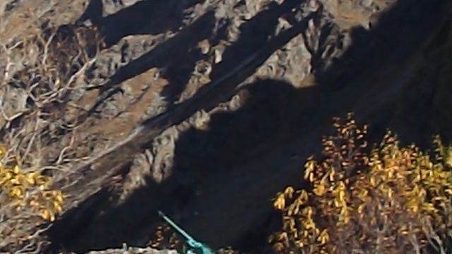 DSCN3489Северная Осетия Цейское ущелье октябрь 2020