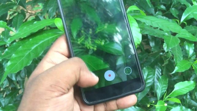 TR Camera V2 Reborn - Gcam Alternative for All Android | Gcam Ka BAAP! смотреть онлайн